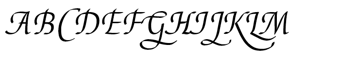 EF Elysa Regular Italic Swash 3 Font UPPERCASE