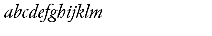 EF Garamond Rough H Regular Italic Font LOWERCASE