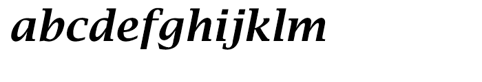 EF Lucida Bright Turkish Demi Bold Italic Font LOWERCASE