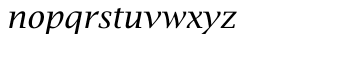 EF Lucida Bright Turkish Roman Italic Font LOWERCASE
