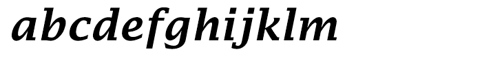 EF Lucida Fax Turkish Demi Bold Italic Font LOWERCASE