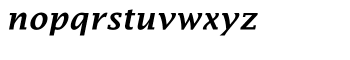 EF Lucida Fax Turkish Demi Bold Italic Font LOWERCASE