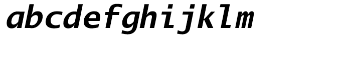 EF Lucida Mono Turkish Bold Italic Font LOWERCASE