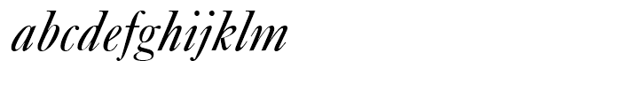 EF New Caslon B Italic Font LOWERCASE