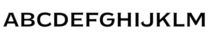 EFCO Overhold Expanded Medium FONT