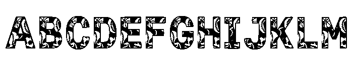 Eger Regular Font UPPERCASE