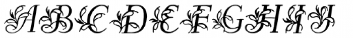 Egmontian Font UPPERCASE
