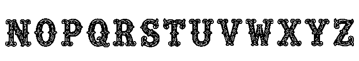Eila Regular Font LOWERCASE