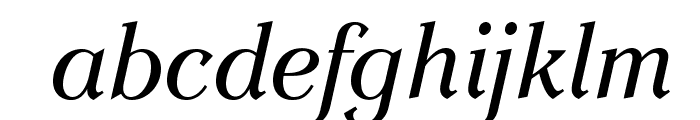 EinsteinOpti-Italic Font LOWERCASE