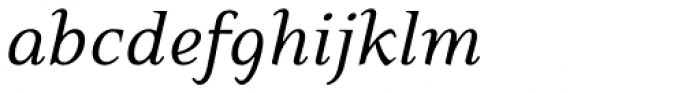 Eidetic Neo Italic Font LOWERCASE
