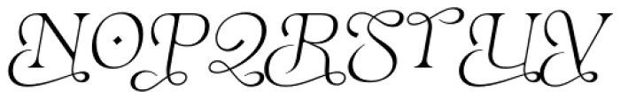 Eirlys Swash Light Italic Font UPPERCASE