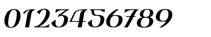 Ekelon Medium Slanted Font OTHER CHARS