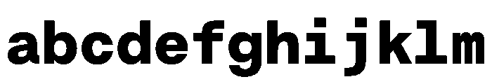 EKBaumerMono Black FONT