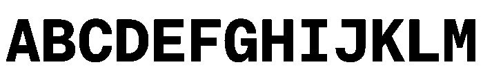 EKBaumerMono Bold Font UPPERCASE