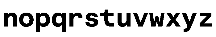 EKBaumerMono Bold Font LOWERCASE