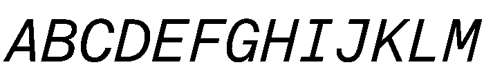 EKBaumerMono Italic Font UPPERCASE