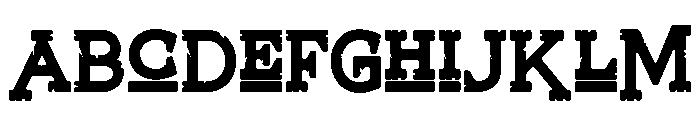 ELNIGHT-Regular FONT