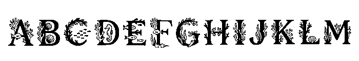 Elaine Regular FONT
