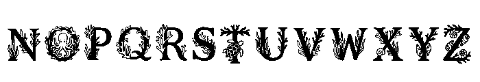 Elaine Regular Font LOWERCASE