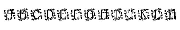 Elarose Monogram FONT