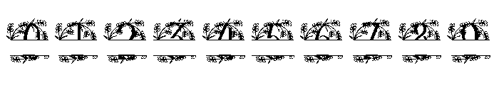 Elarose Split Monogram Font OTHER CHARS