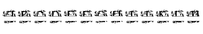 Elarose Split Monogram FONT
