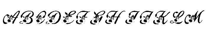Elegant Floral Monogram Alphabet FONT