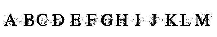 Elegant Floral Monogram Font UPPERCASE