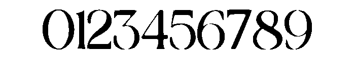 Elegant_Luxury Font OTHER CHARS