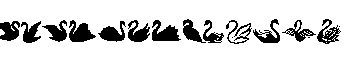Elegant Swan Set FONT