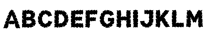 Elgar Regular FONT