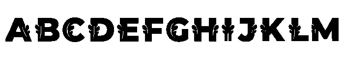 Elwyn Regular Font UPPERCASE