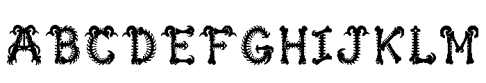 Elyric Regular FONT