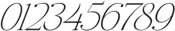 Elagern Italic otf (400) Font OTHER CHARS