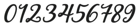 Elation Script Italic Regular otf (400) Font OTHER CHARS