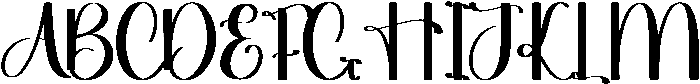Elegant Regular otf (400) Font UPPERCASE
