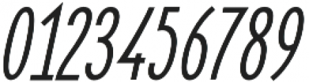 Elegant Sans Bold Italic otf (700) Font OTHER CHARS