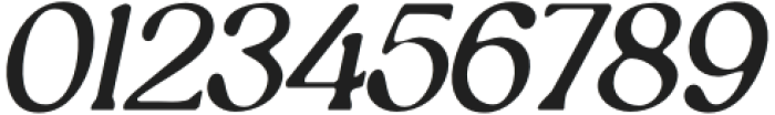 EleynaBlur-Italic otf (400) Font OTHER CHARS