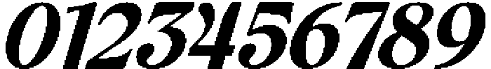 Elfreya Bold Italic otf (700) Font OTHER CHARS