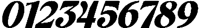 Elfreya Extra Bold Italic otf (700) Font OTHER CHARS