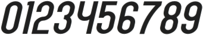 Elingo Regular Italic otf (400) Font OTHER CHARS