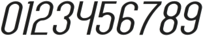 Elingo Thin Italic otf (100) Font OTHER CHARS