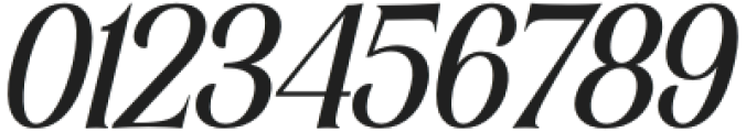 Elsain Italic otf (400) Font OTHER CHARS