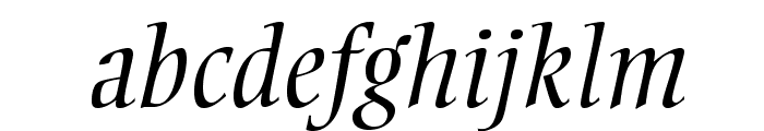 EllingtonMTStd-LightItalic Font LOWERCASE