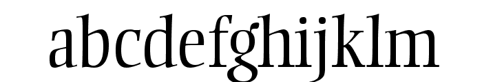 EllingtonMTStd-Light Font LOWERCASE