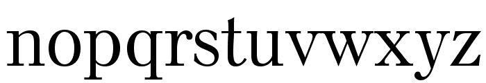 ElseNPLStd-Medium Font LOWERCASE