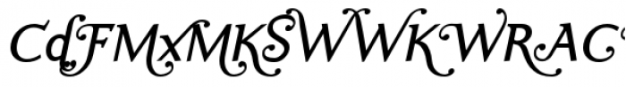 Ela Swashes Plain Italic Font OTHER CHARS