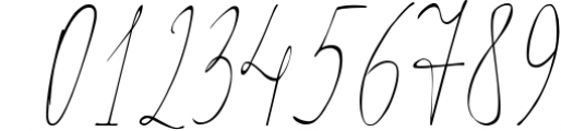 Elegance - delicate script Font OTHER CHARS