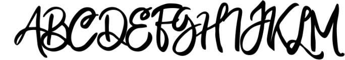 Elegant Font Bundle | Logo Font 2 Font UPPERCASE