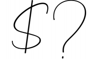 Elegant Handwritten Font Bundle 11 Font OTHER CHARS